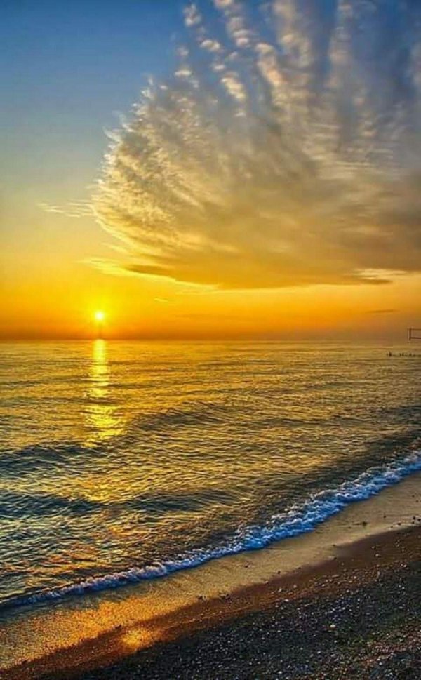 лазаревское море 2023