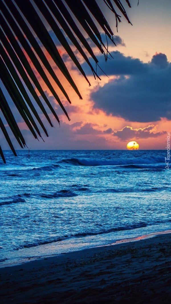 сансет бич закат