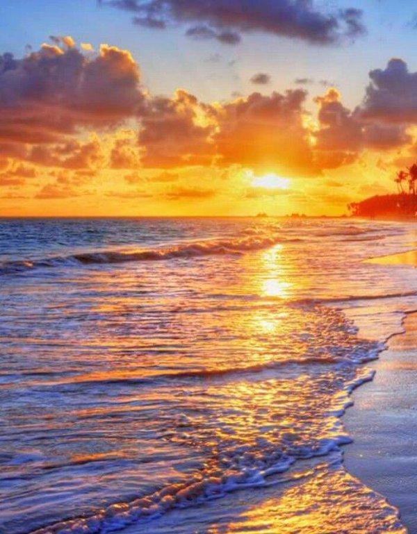 пляж тропический