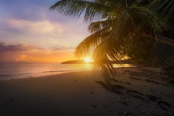 парадиз остров карибского моря