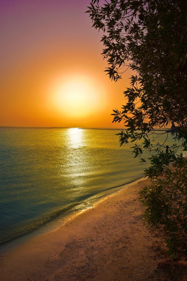 красивый восход