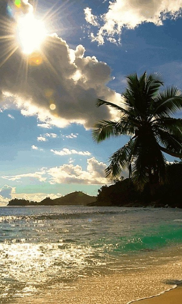 гавайи закат пальмы океан