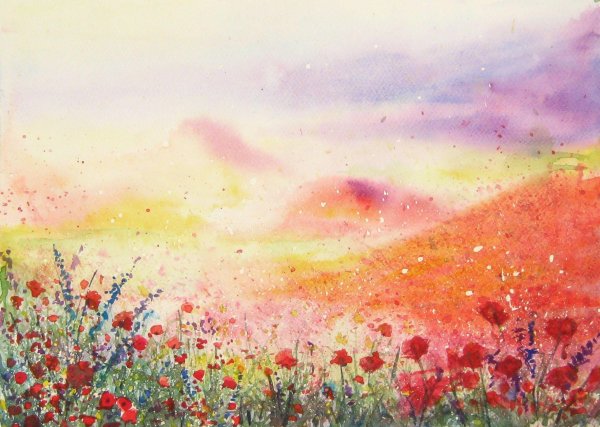 маковое поле акварелью