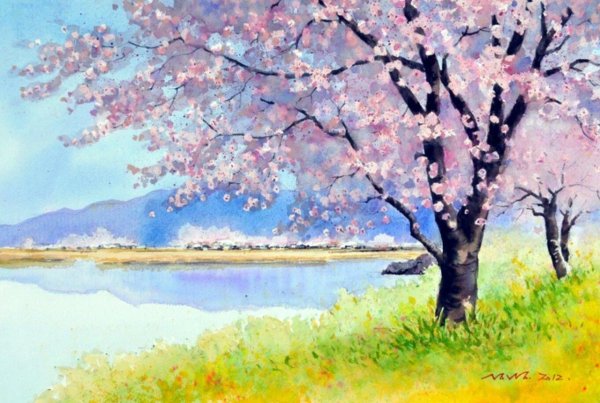 импрессионизм сакура