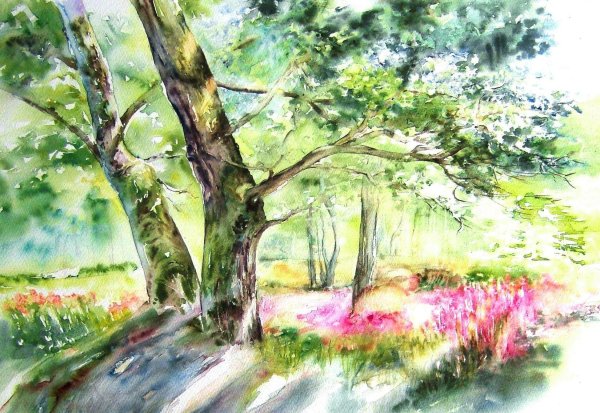 художниксамоучка roselyne farail