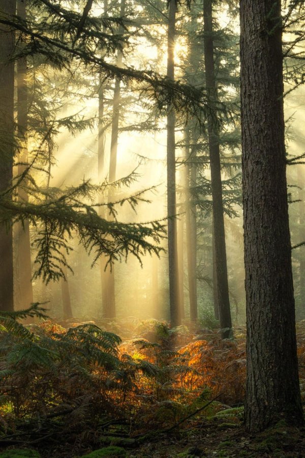 пейзажи природа