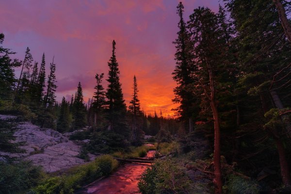 природа закат