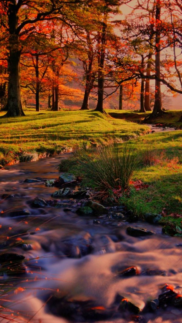 пейзажи осенние