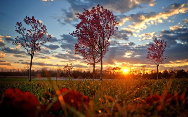 осенние закаты