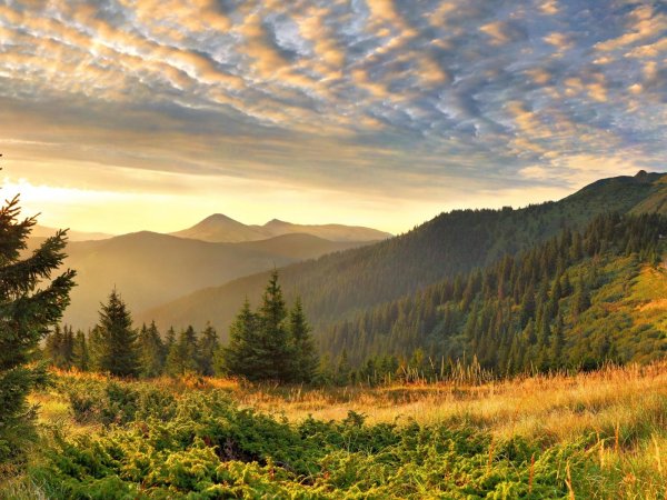 гора златибор карпаты