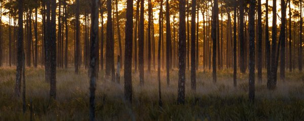 закаты пейзажи