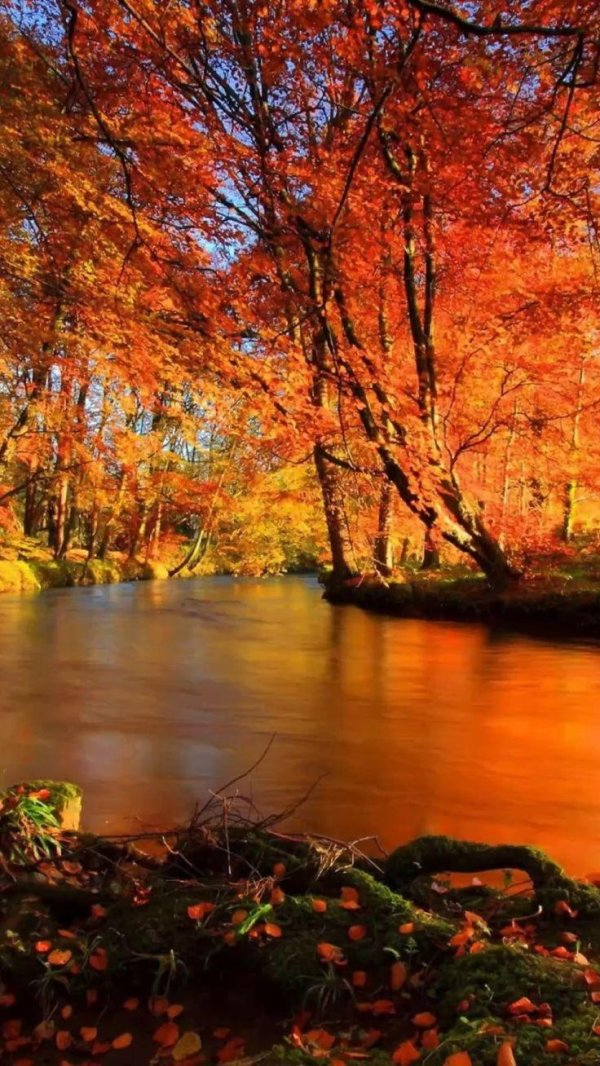 осенние пейзажи