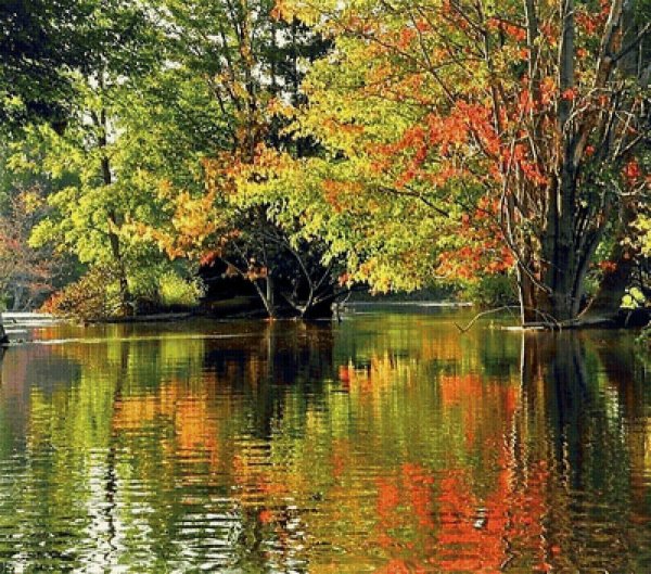 осенние пейзажи