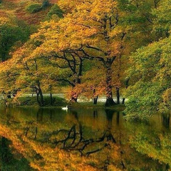 осенние пейзажи