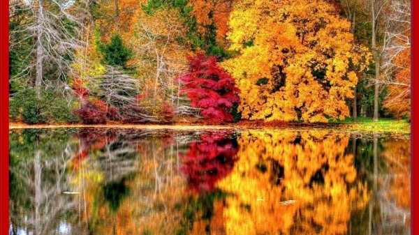 природа осенняя