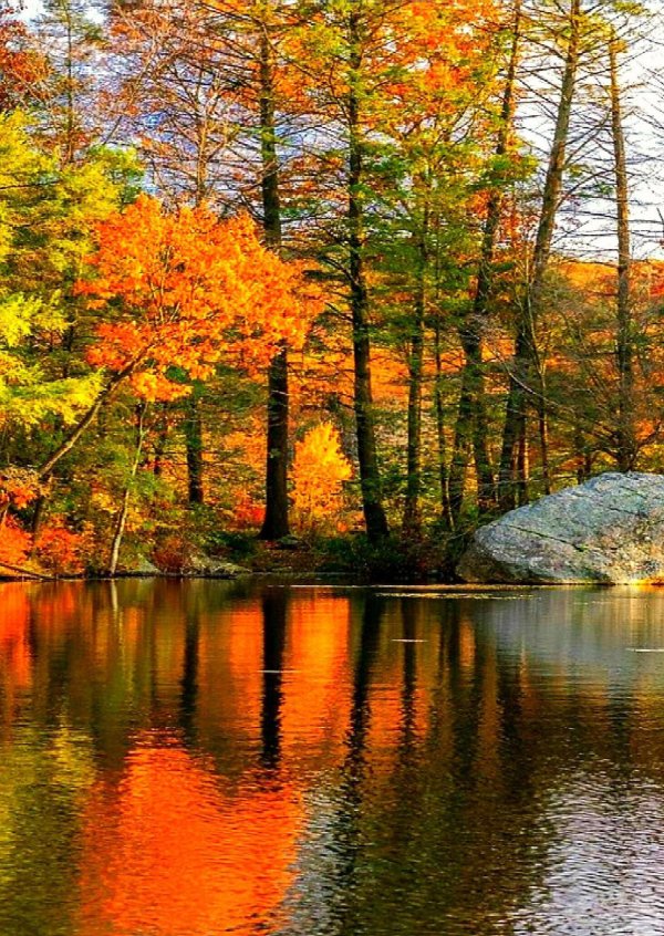 природа осенняя