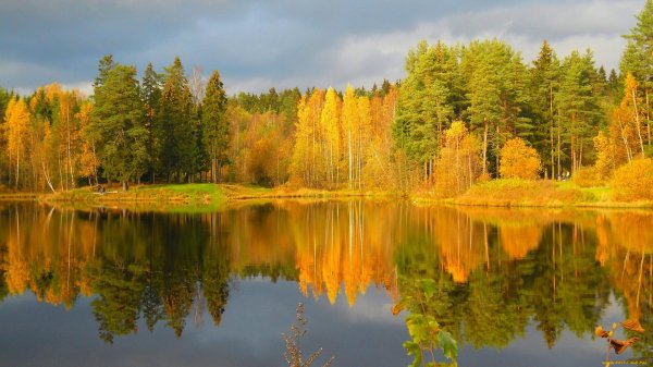 осенние пейзажи