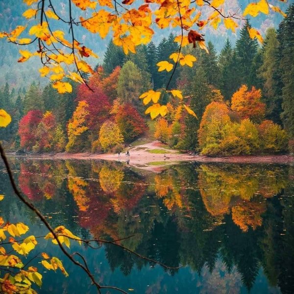 осенние пейзажи