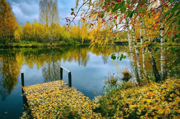 природа моего края