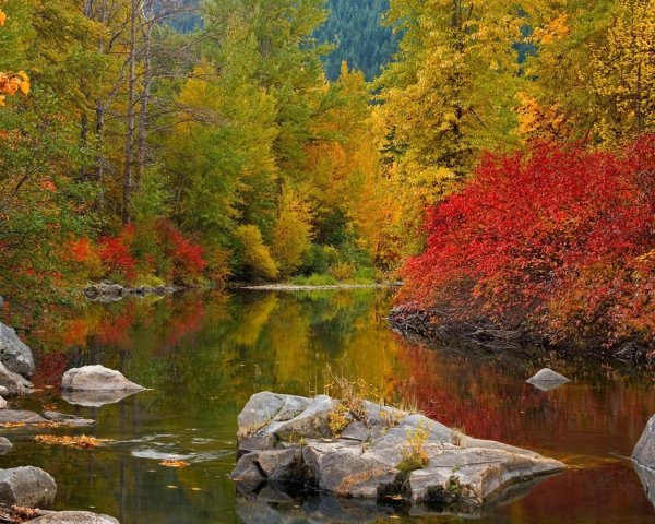 осенняя природа