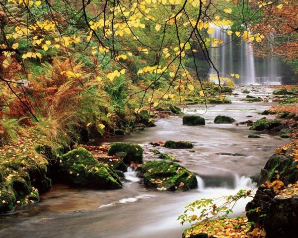 природа осени