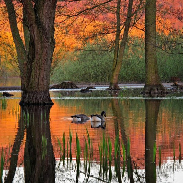 осеннее озеро