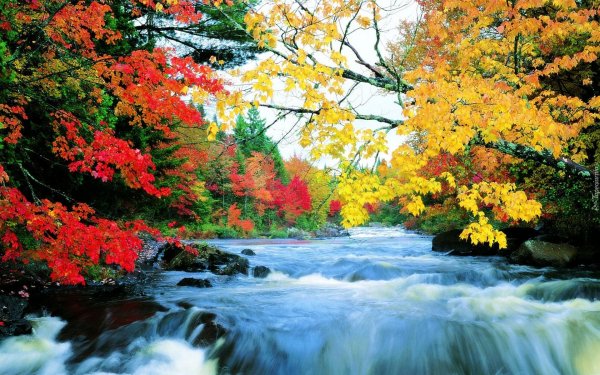 осенние пейзажи