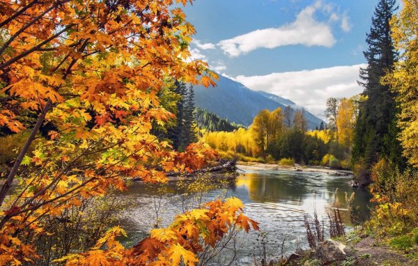 осенние пейзажи