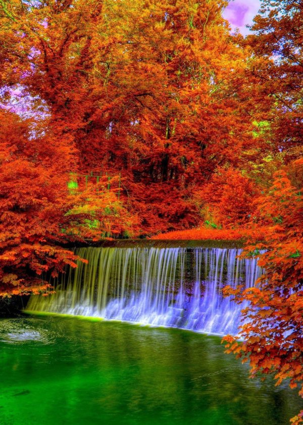 Природа живая осень