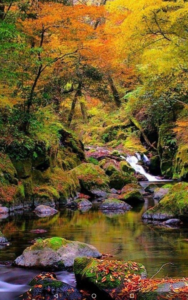 красивые пейзажи природы