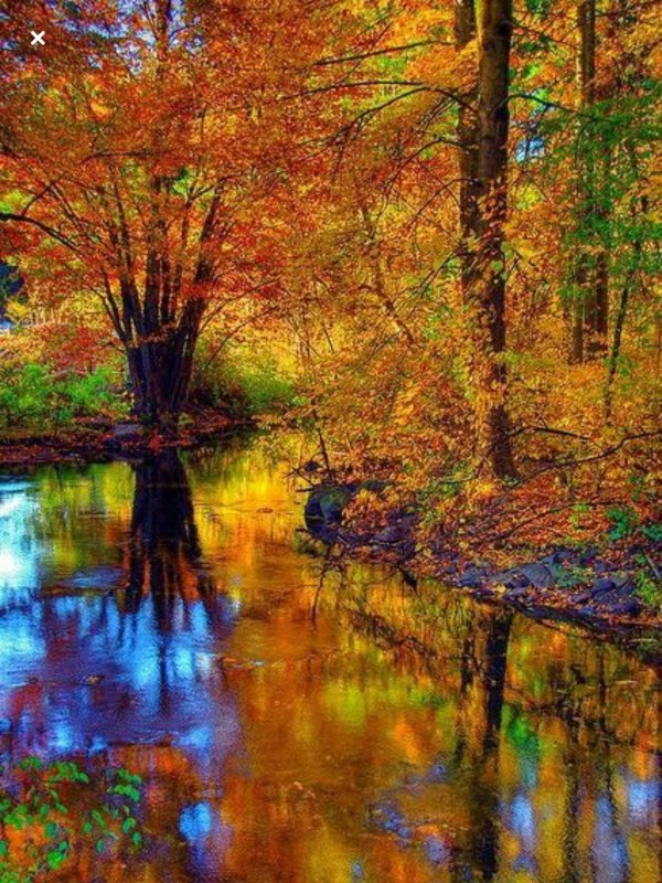 осенний пейзаж