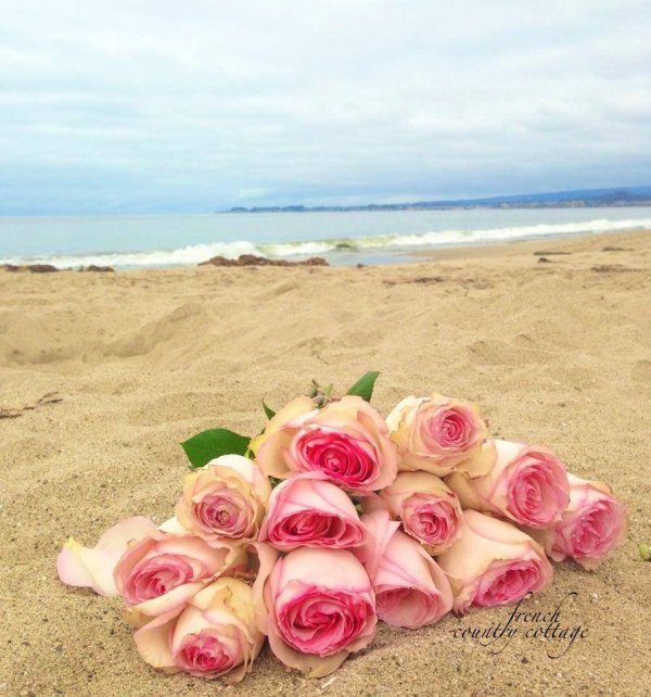 роза эсперанс