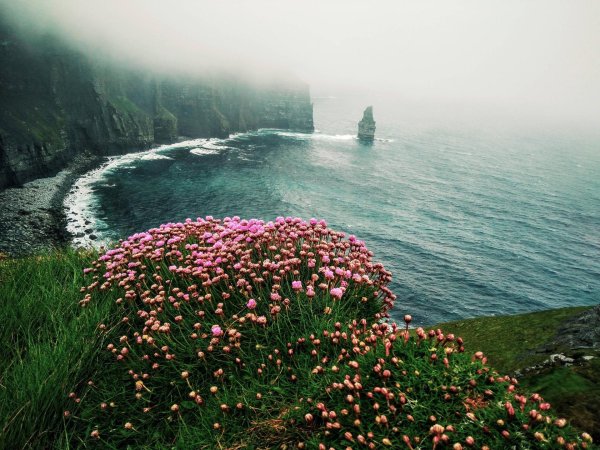 cliffs of moher ирландия