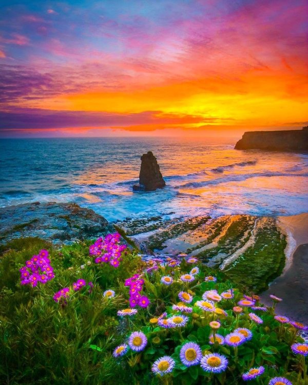 восхитительные пейзажи мира