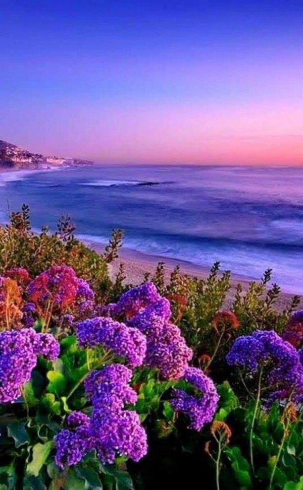 красивые пейзажи с цветами