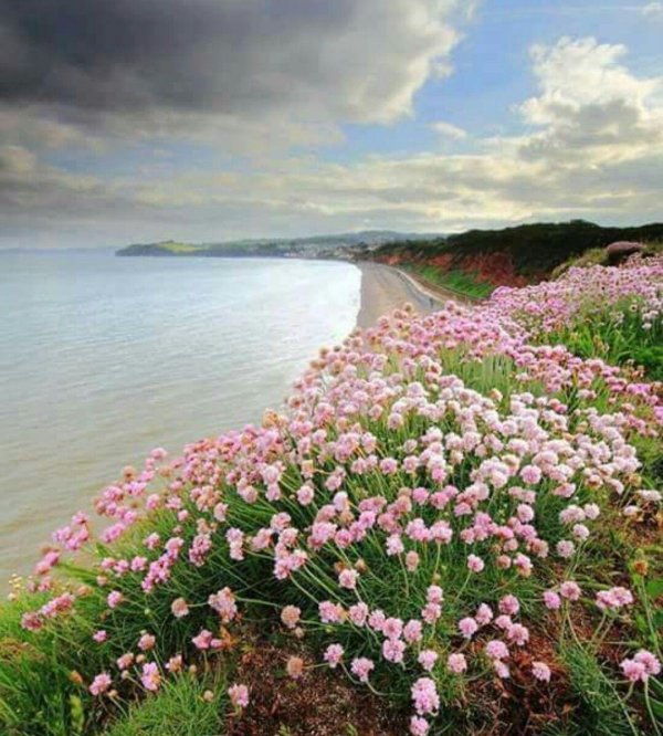 природа пейзаж