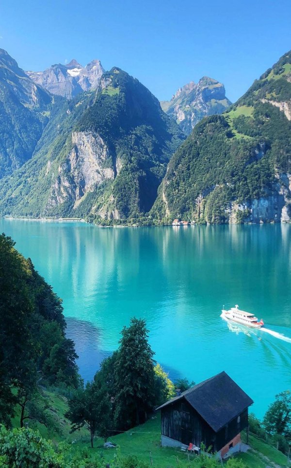 зизикон швейцария