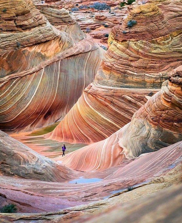 vermilion cliffs national monument