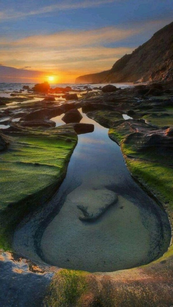 чудеса природы