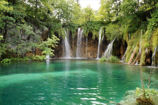 природа зеленая водопад