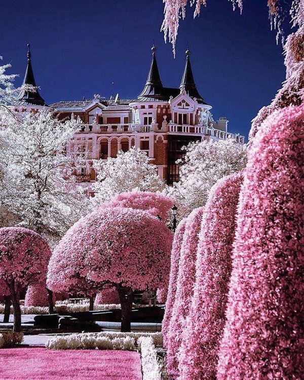 инфракрасная фотография