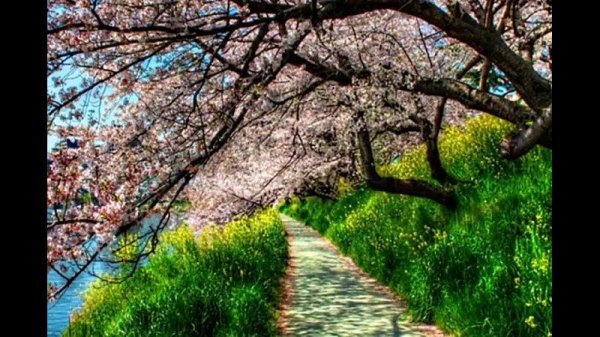 весенние пейзажи