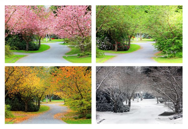 осень зима лето весна