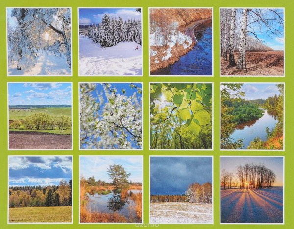 пейзаж по временам года