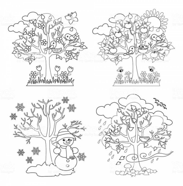 раскраска дерева