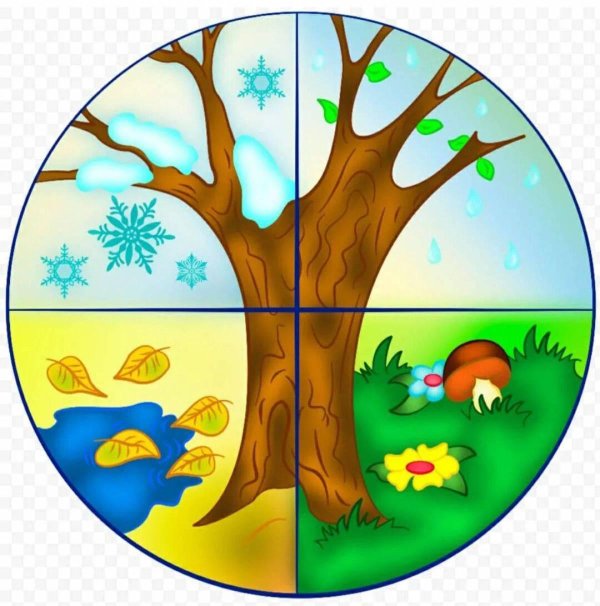 сезонное дерево для детского сада