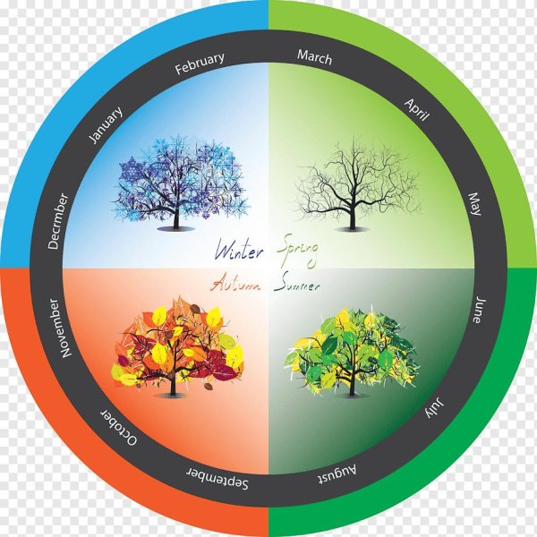 сезонный биоритм