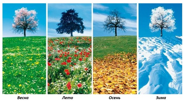 весна осень зима лето