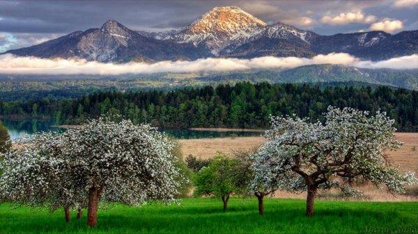 весенние пейзажи