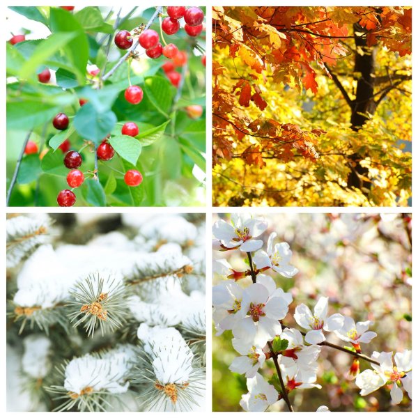 осенние пейзажи